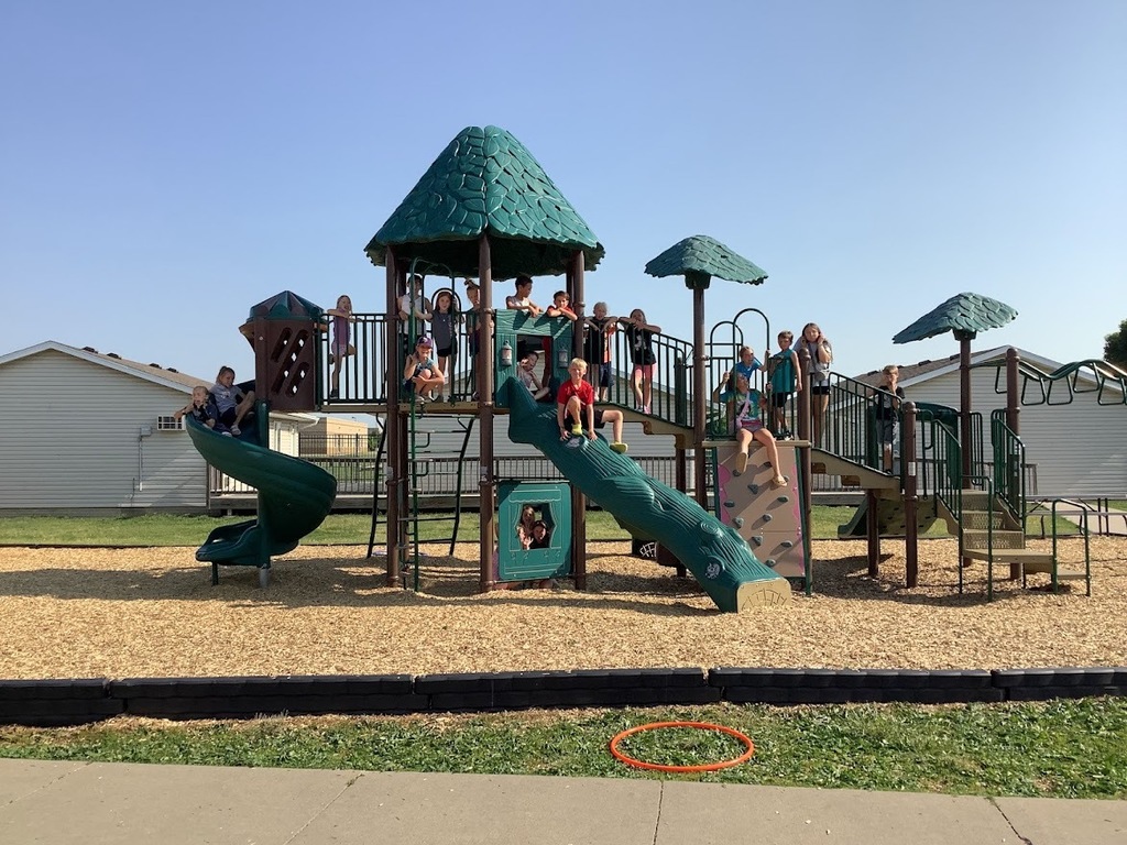 Live Feed Tea Area School District